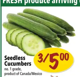 Farm Boy Seedless cucumbers offer