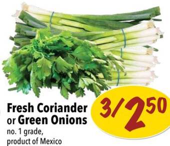 Farm Boy Fresh coriander or green onions offer