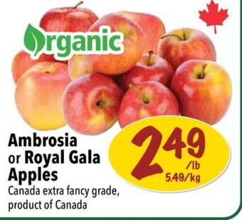 Farm Boy Ambrosia or royal gala apples offer
