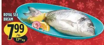 Marché Adonis Royal sea bream offer