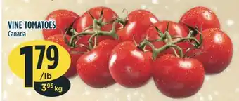 Marché Adonis Vine tomatoes offer