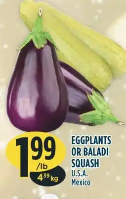 Marché Adonis Eggplants or baladi squash offer