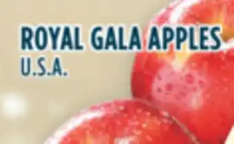 Marché Adonis Royal gala apples offer