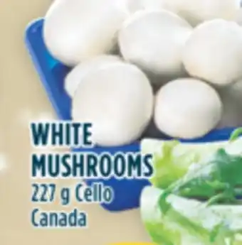 Marché Adonis White mushrooms offer