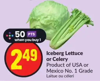 FreshCo Iceberg lettuce or celery product of usa or mexico no. 1 grade offer