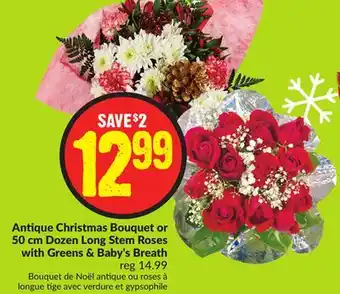 Chalo FreshCo Antique christmas bouquet or 50 cm dozen long stem roses with greens & baby's breath offer
