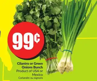 Chalo FreshCo Cilantro or green onions bunch product of usa or mexico offer