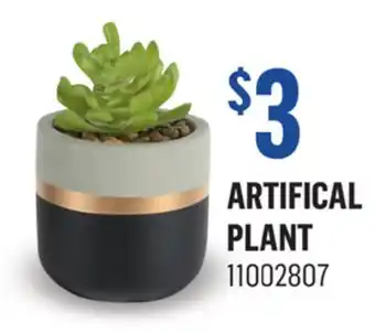 Canac Artifical plant offer