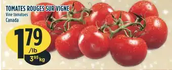 Marché Adonis Tomates rouges sur vigne offer