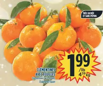 Marché Adonis Clémentines avec feuilles offer
