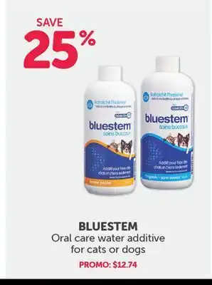 Mondou Bluestem oral care water additive for cats or dogs offer