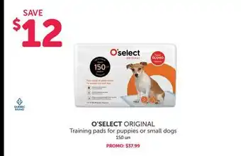 Mondou O'select original training pads for puppies or small dogs offer