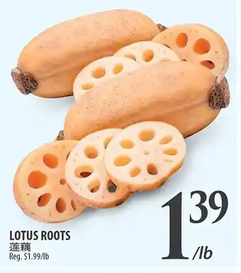 Al Premium Food Mart LOTUS ROOTS offer