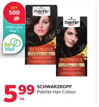 Rexall Schwarzkopf palette hair colour offer