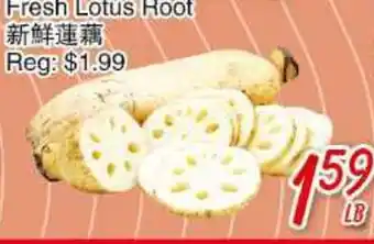 Foody Mart Fresh lotus root offer