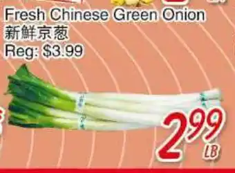 Foody Mart Fresh chinese green onion offer