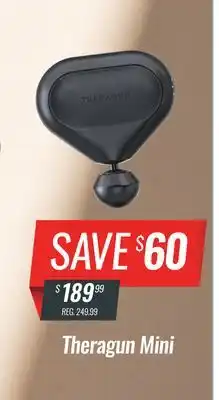 Hockey Life Theragun mini offer