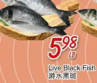 Foody Mart Live black fish offer
