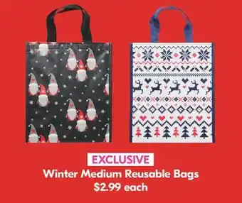 Pharmaprix Winter medium reusable bags offer