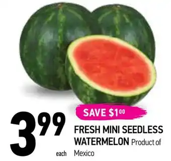 Coppa's Fresh Market Fresh mini seedless watermelon offer