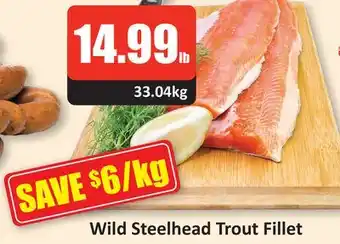 Starsky Wild steelhead trout fillet offer