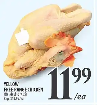 Al Premium Food Mart YELLOW FREE-RANGE CHICKEN offer