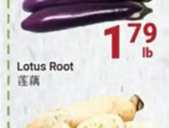 Oceans Fresh Food Market Lotus root offer