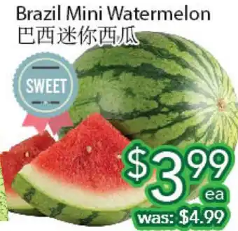 Ample Food Market Brazil mini watermelon offer