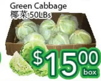 Ample Food Market Green cabbage offer