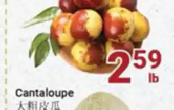 Oceans Fresh Food Market Cantaloupe offer