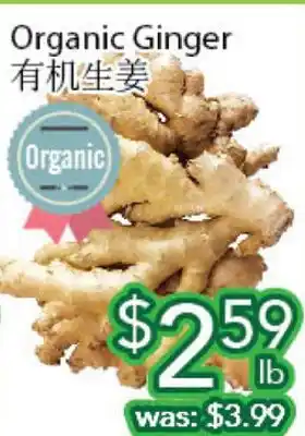 Ample Food Market Organic ginger offer