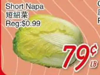 Foody Mart Short napa offer