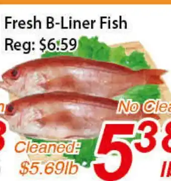 Seasons Foodmart Fresh b-liner fish offer