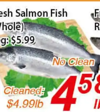 Seasons Foodmart Fresh salmon fish ( whole) offer
