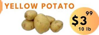 Food World Supermarket Yellow potato offer