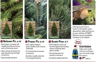 Sheridan Nurseries Balsam fir 6-12ft offer