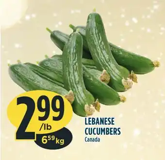 Marché Adonis Lebanese cucumbers offer