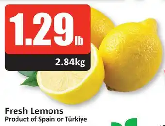 Starsky Fresh lemons offer