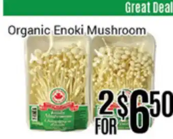Nations Fresh Foods Organic enoki mushroom offer