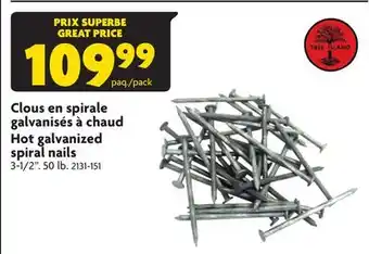 Home Hardware Hot galvanized spiral nails offer