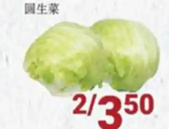 Oceans Fresh Food Market Head lettuce offer