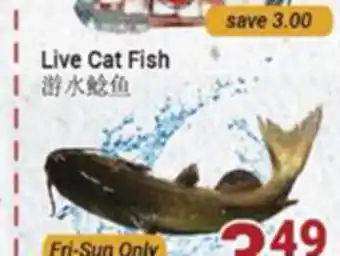 Oceans Fresh Food Market Live cat fish offer