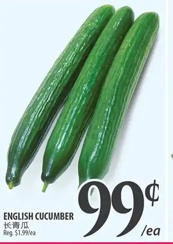 Al Premium Food Mart ENGLISH CUCUMBER offer