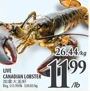 Al Premium Food Mart LIVE CANADIAN LOBSTER offer