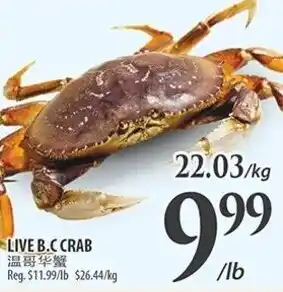 Al Premium Food Mart LIVE B.C CRAB offer