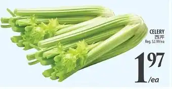 Al Premium Food Mart CELERY offer