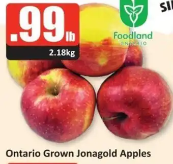 Starsky Ontario Grown Jonagold Apples offer