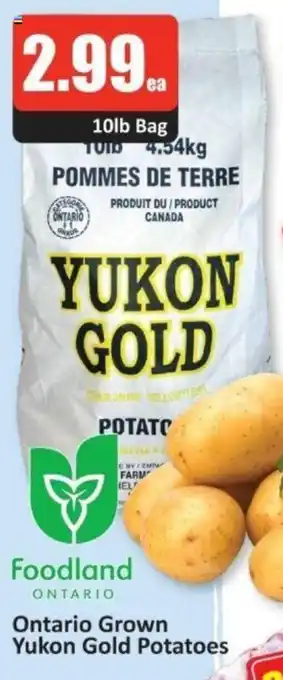 Starsky Ontario Grown Yukon Gold Potatoes offer