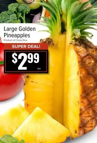 Large Golden Pineapples