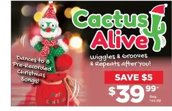 Showcase Cactus alive offer